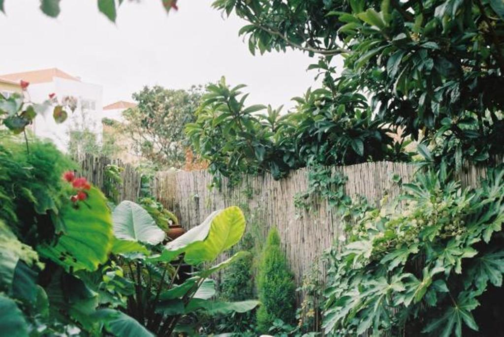 Apartment With Private Garden Porto Cameră foto
